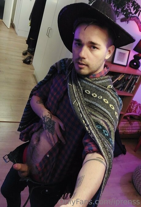 Iprenss model perfect galleries