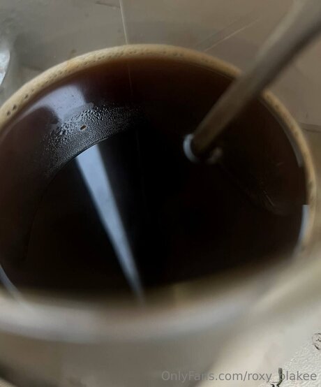 Roxy Blakee star nudes pics