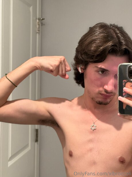 Xlbroccoli art star gallery