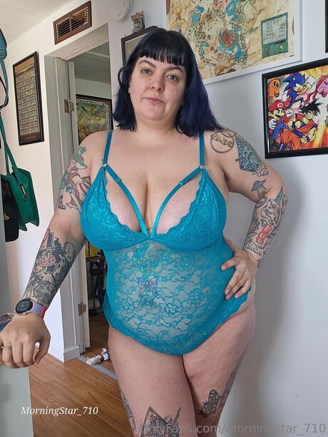 Morningstar 710 hd model image