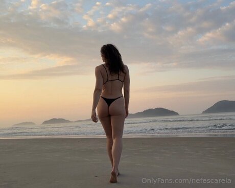 Nefescarela high quality model image