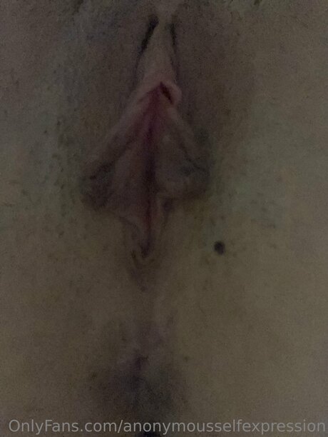 Anonymousselfexpression exclusive pornstar archive