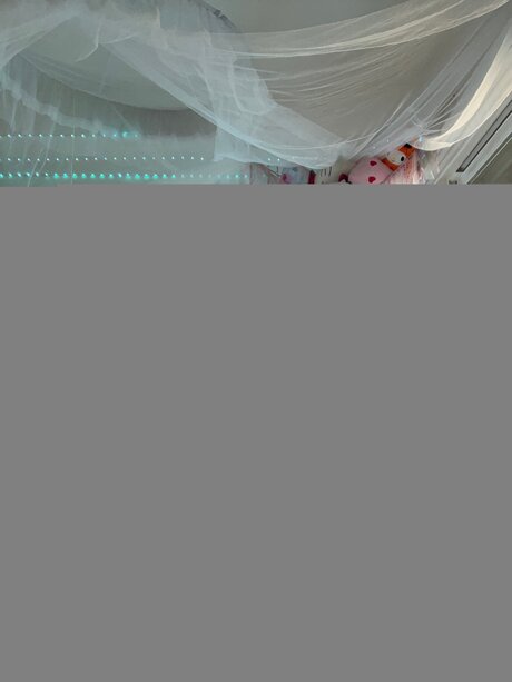 Fantomhoneyxlee adult star archive