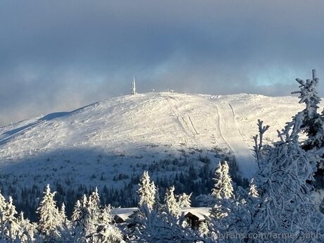 Farmer John pornstar sexy photos