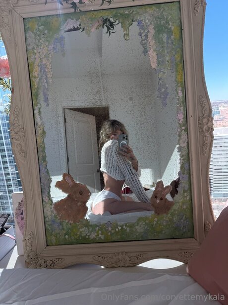 Corvettemykala star perfect pictures