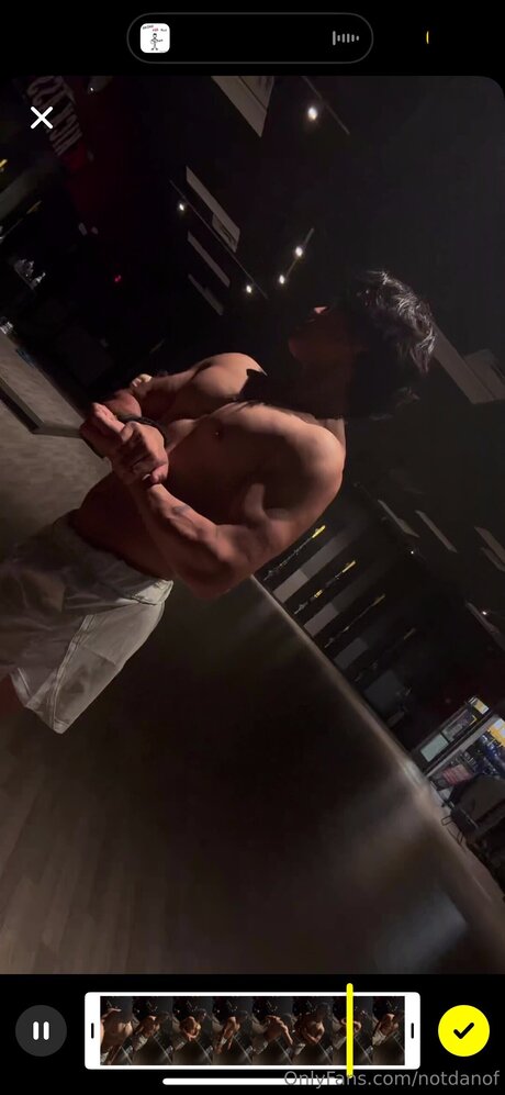 Notdanof perfect star galleries