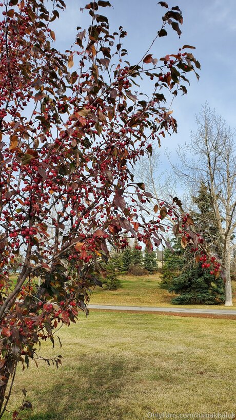 Tumakbaluk nice actress images