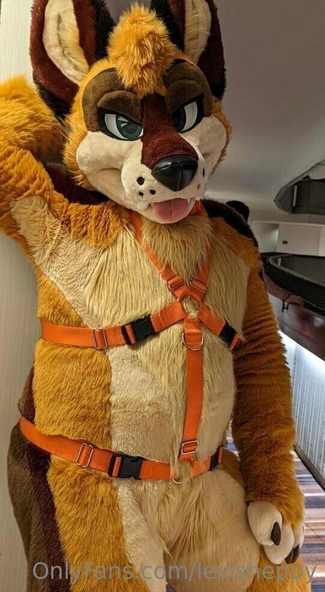 levisheppy star nudes pictures