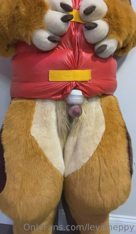 levisheppy star pretty archive