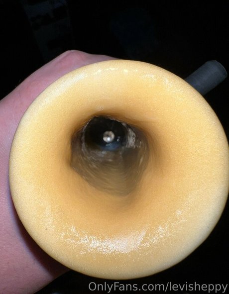 levisheppy pornstar gallery