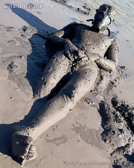 alexlatex mx star gallery