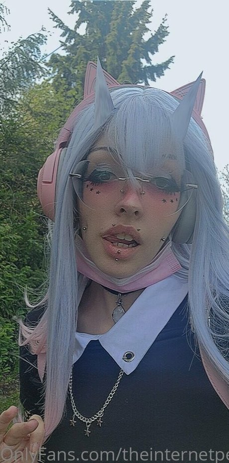 theinternetpet Profile pic