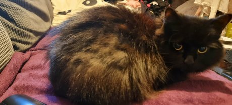 joebutnsfw porn model archive