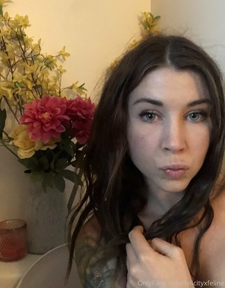 felicityfeline pornstar high quality archive