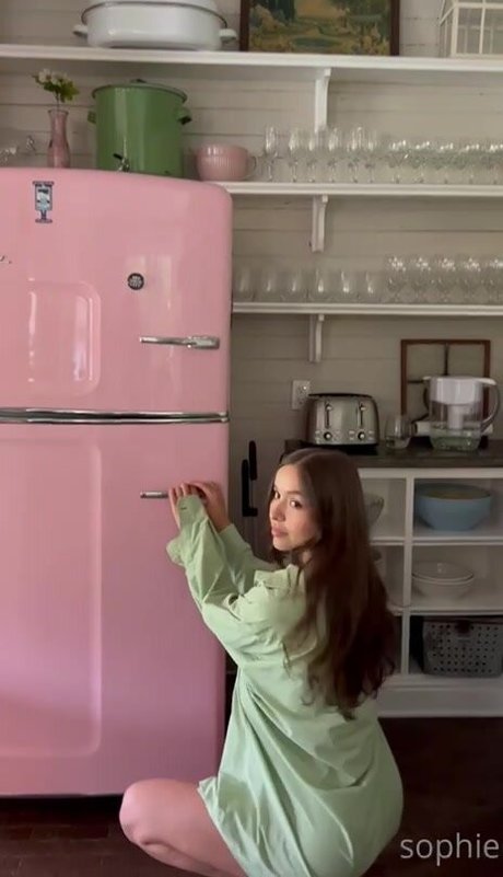 Sohpie pornstar adult archive