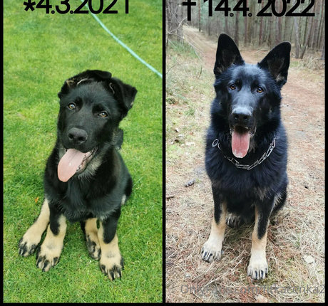 joi milf onlyfans hot xxx gallery