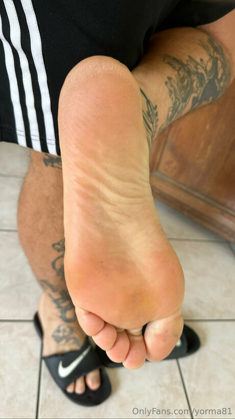 Yorma81 star free img