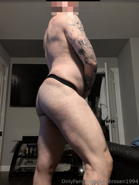 Jacobrosen1994 model best img