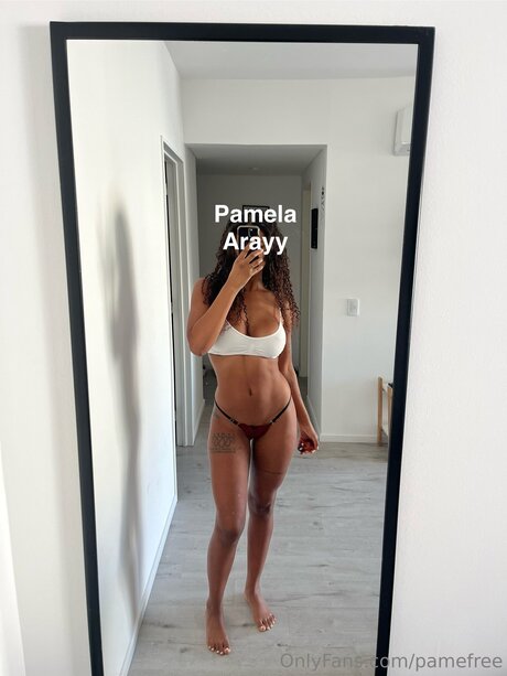 Pamefree perfect model archive