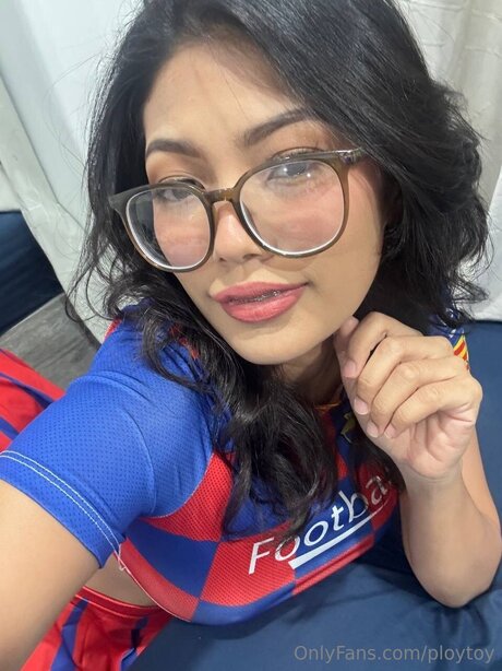 Ploytoy art model picture