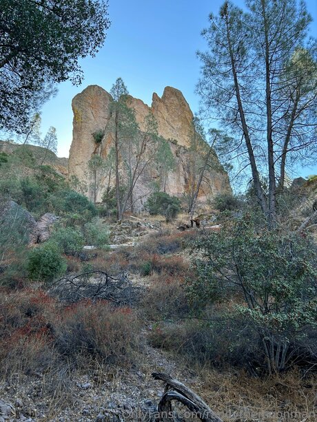 Thatmoonman adult star image