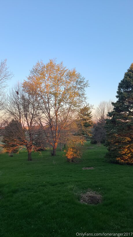 Loneranger2017 star beautiful picture