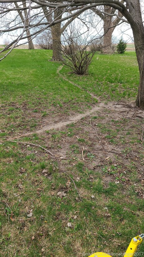 Loneranger2017 star nudes images