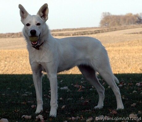 Loneranger2017 model naked pic