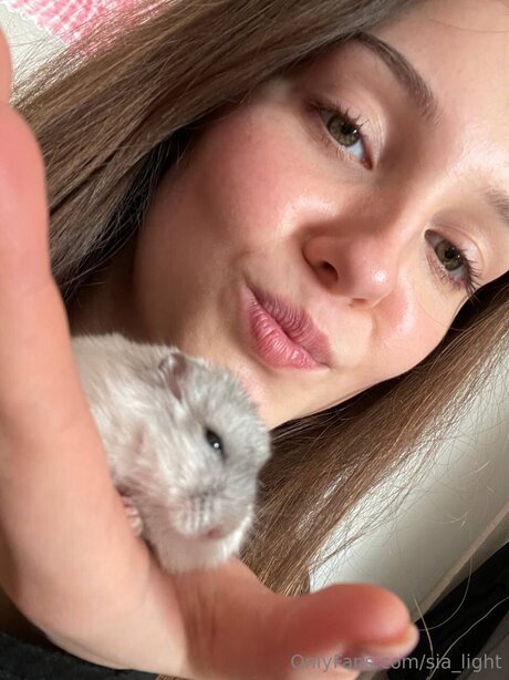 Sia Light model nice gallery