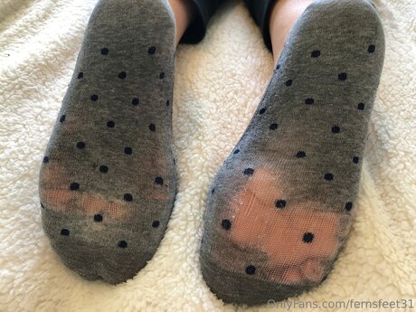 Fernsfeet31 star free galleries