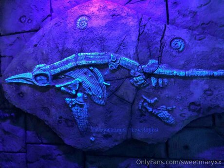 Rubyyexclusive star nude photos