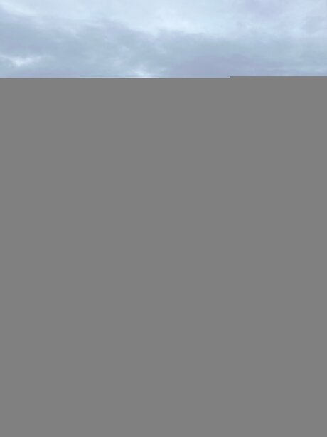 Victorialotusfree high quality model galleries