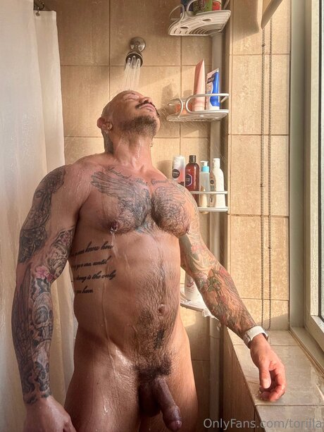 Torilla star pornographic photo