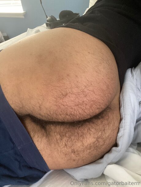 Gatorbaiterrr best star pics