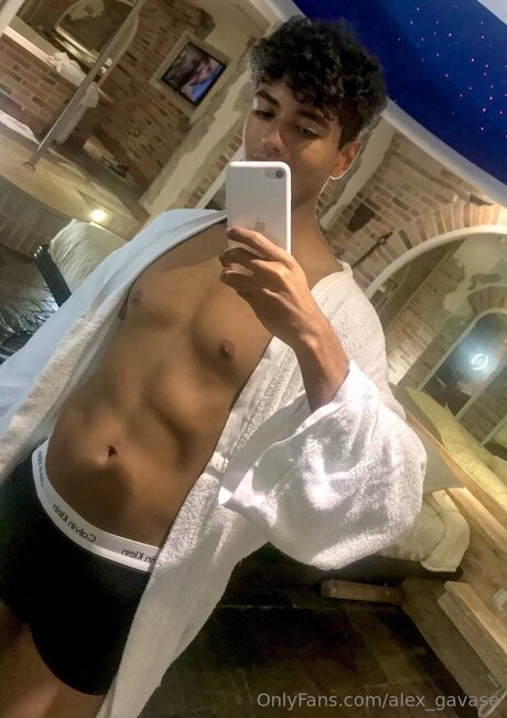 Alex Gavase art star galleries