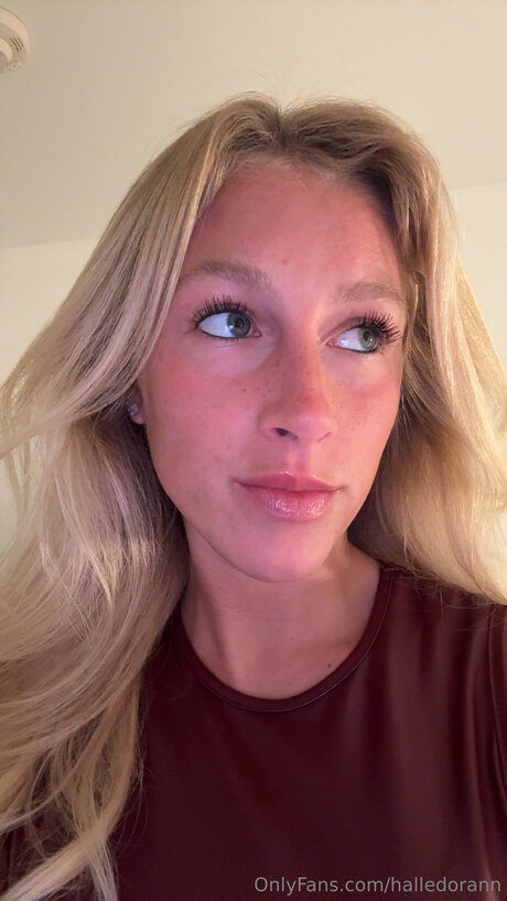 Halledorann best model image