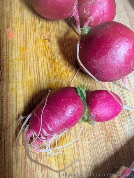 Natures Lil Nymp art pornstar pictures