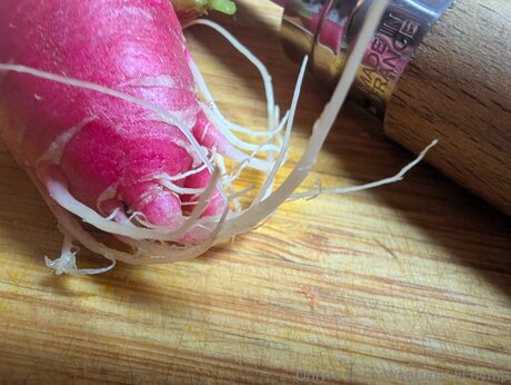 Natures Lil Nymp actress archive