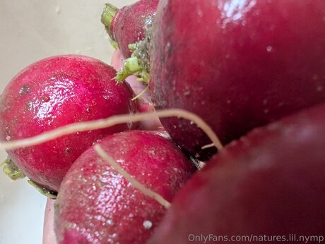 Natures Lil Nymp pornstar adult gallery