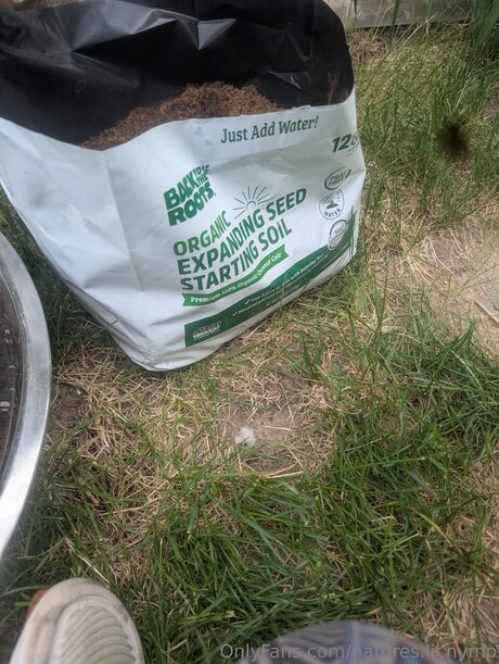 Natures Lil Nymp perfect star picture