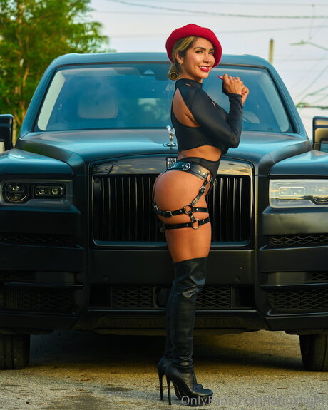 Latinxlight art pornstar galleries