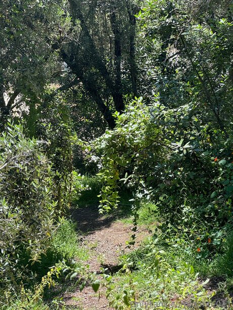 Donte011 pretty pornstar galleries