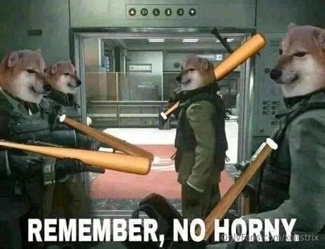 Xoitstrix adult actress pic