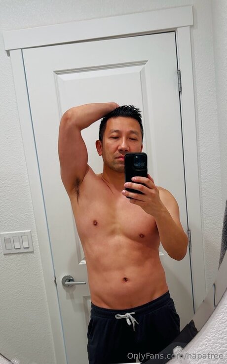 Hapatree model top galleries