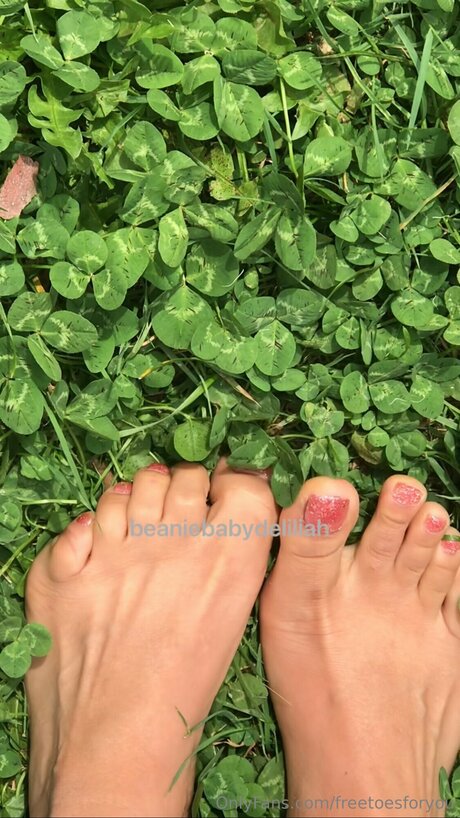 Freetoesforyou adult star galleries