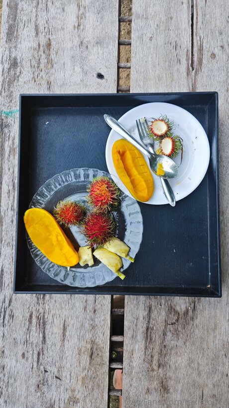 Rexistonee pretty star archive