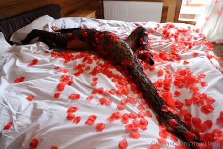 Maryplaisir star hot galleries