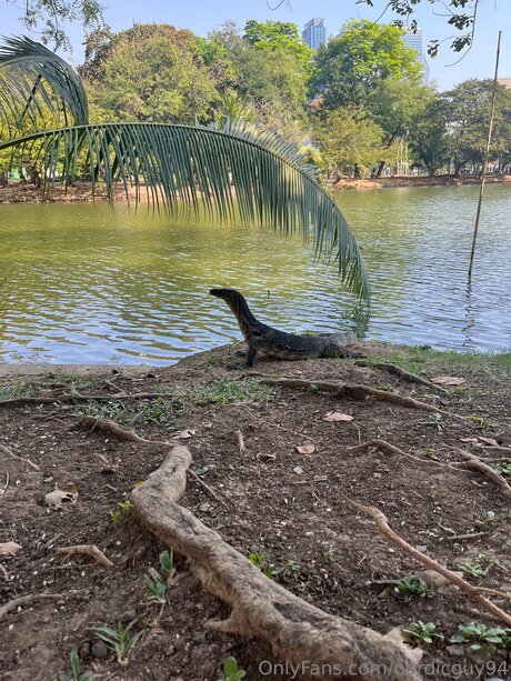 brazilian pussy onlyfans hot sexy photos