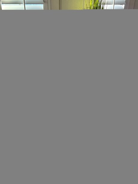 ginger kitty onlyfans sexy nudes photo