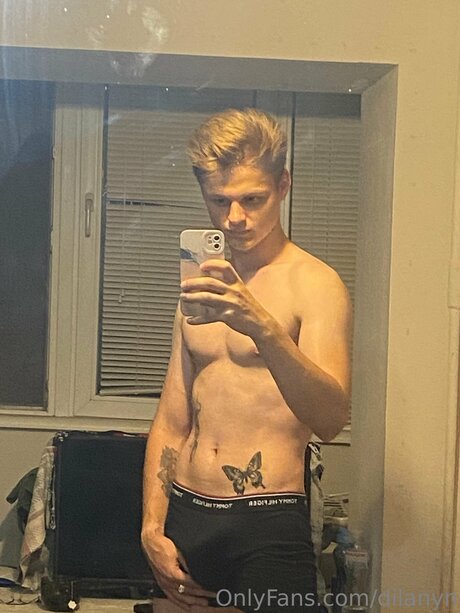 Dilanyn model art picture